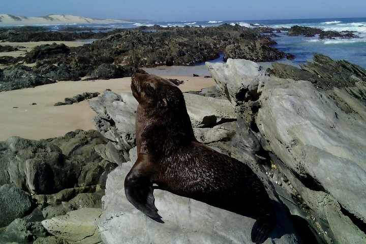 Guided Marine Walk: - Sardinia Bay (Marine Protected Area) - 3 hours - Photo 1 of 15